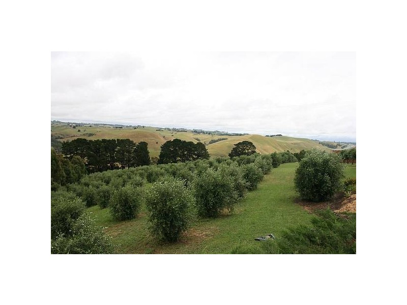 65 Goochs Road, Korumburra VIC 3950