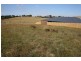 12 Isabella Boulevard, Korumburra VIC 3950