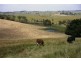 62 Jeetho Road, Loch VIC 3945