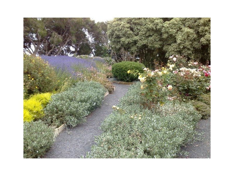 62 Jeetho Road, Loch VIC 3945