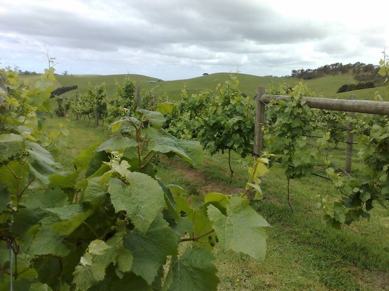 62 Jeetho Road, Loch VIC 3945