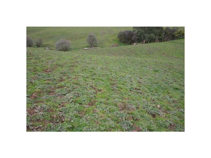 4 Elmores Road, Korumburra VIC 3950