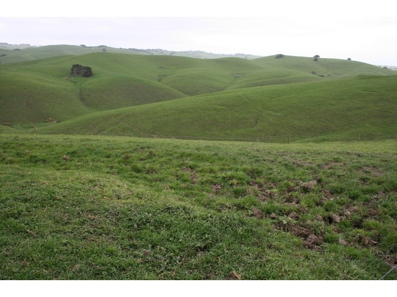 210 Hairs Road, Moyarra VIC 3951