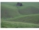 210 Hairs Road, Moyarra, Korumburra VIC 3950