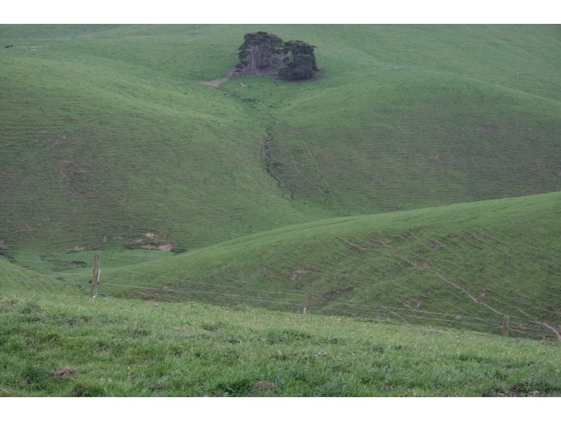 210 Hairs Road, Moyarra, Korumburra VIC 3950