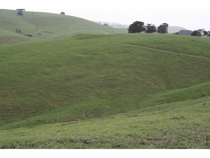 210 Hairs Road, Moyarra, Korumburra VIC 3950