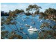 11/72 Wrights Road, Drummoyne NSW 2047