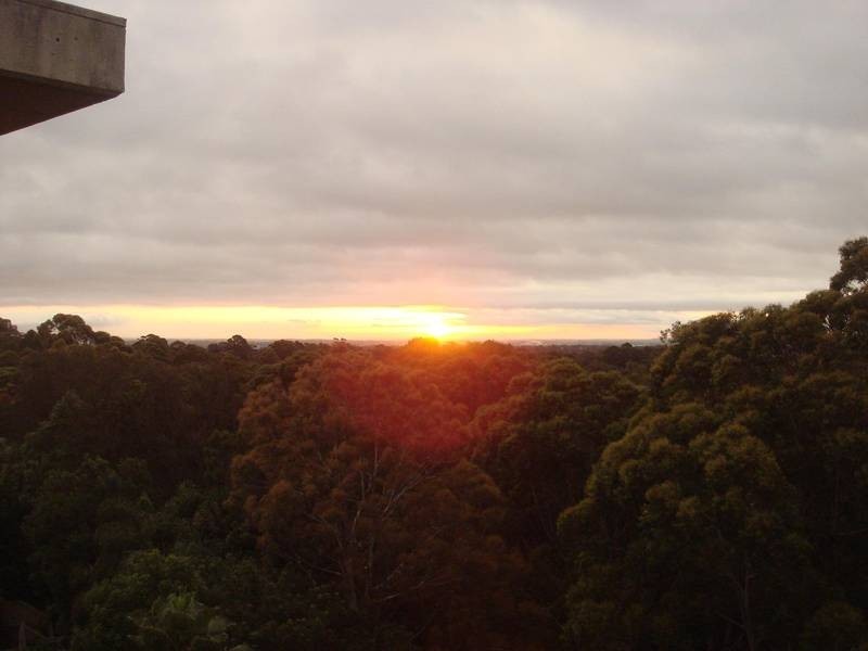 11/482 Pacific Highway, Lane Cove NSW 2066