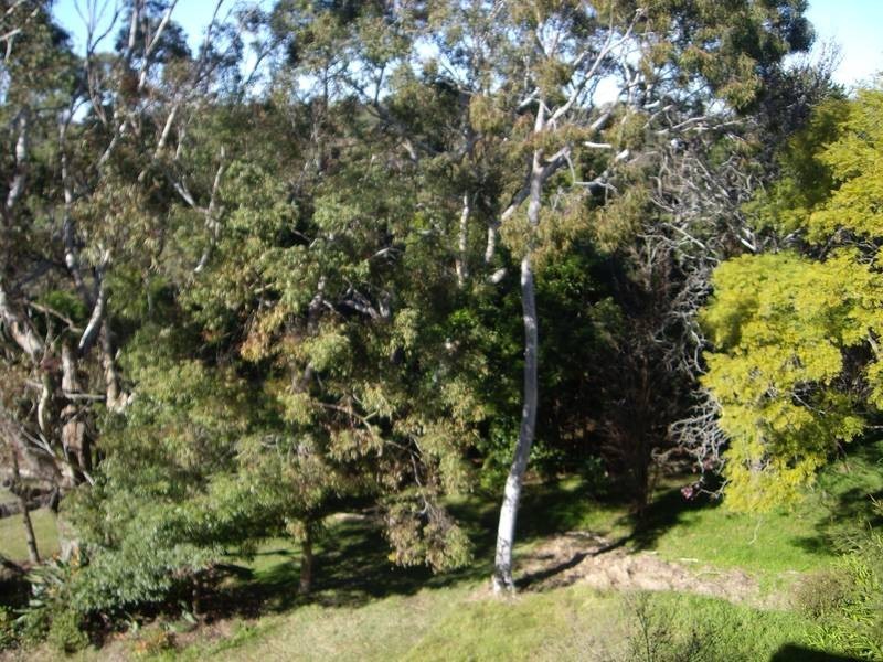 81/38 Cope Street, Lane Cove NSW 2066