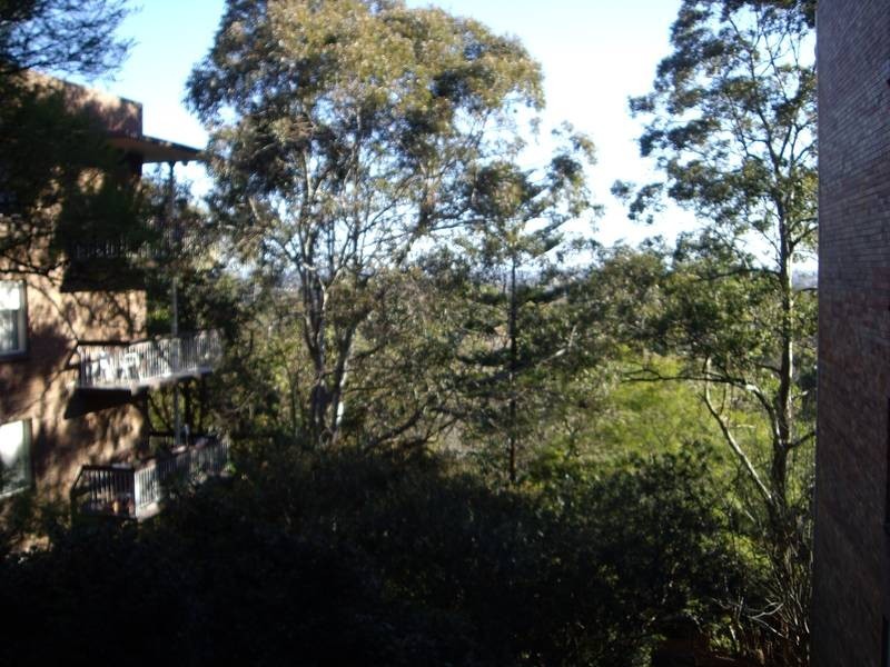 13/272 Pacific Highway, Artarmon NSW 2064