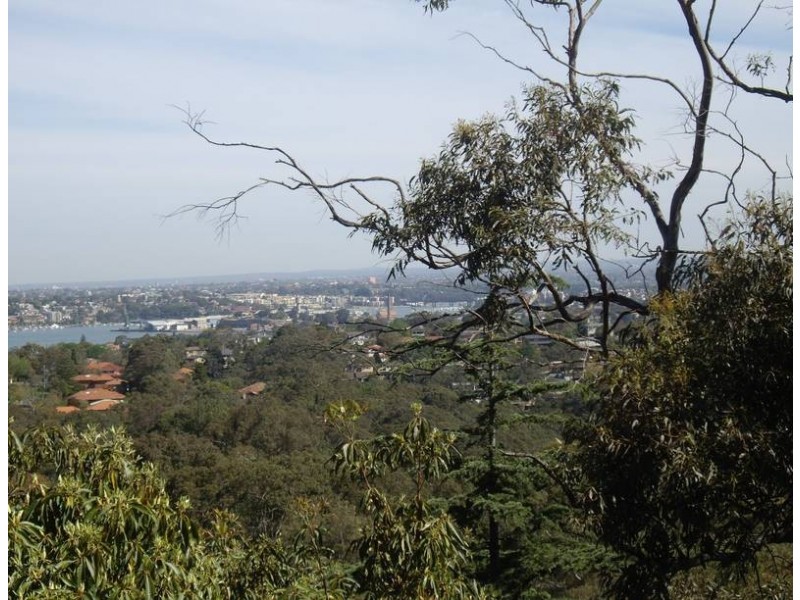 13/280 Pacific Highway, Artarmon NSW 2064