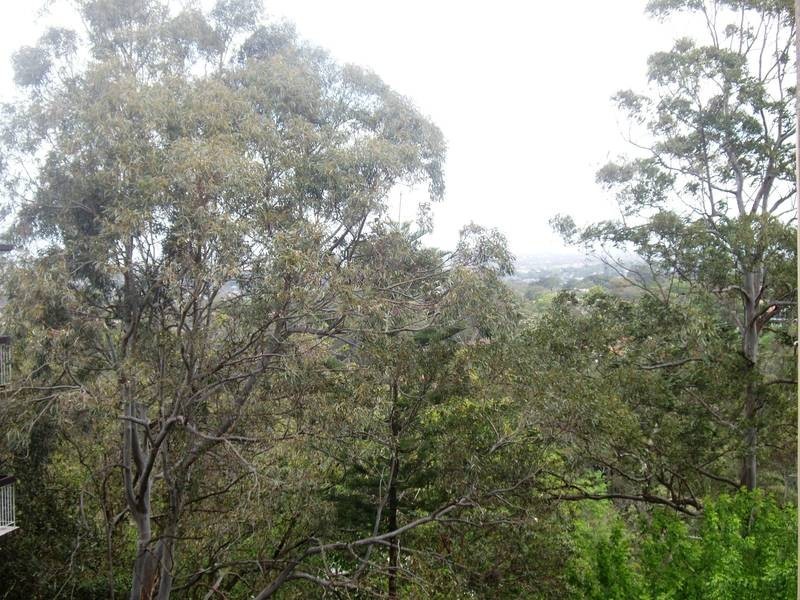 17/272 Pacific Highway, Artarmon NSW 2064