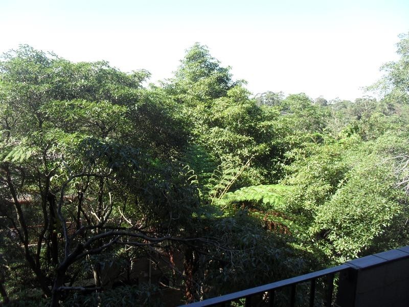 39/38 Cope Street, Lane Cove NSW 2066