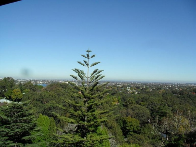 19/258 Pacific Highway, Artarmon NSW 2064