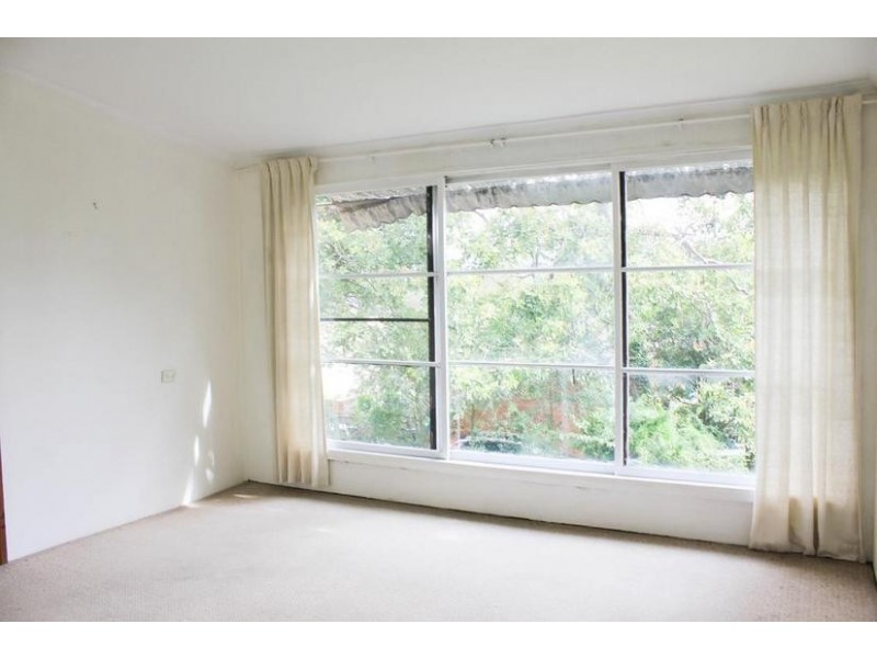 3/43 Osborne Street, Lane Cove NSW 2066