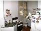 1/167a Wycombe Road, Neutral Bay NSW 2089