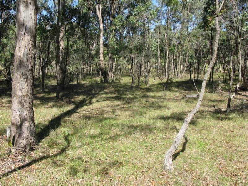 67 Adina Road, Invergowrie NSW 2350