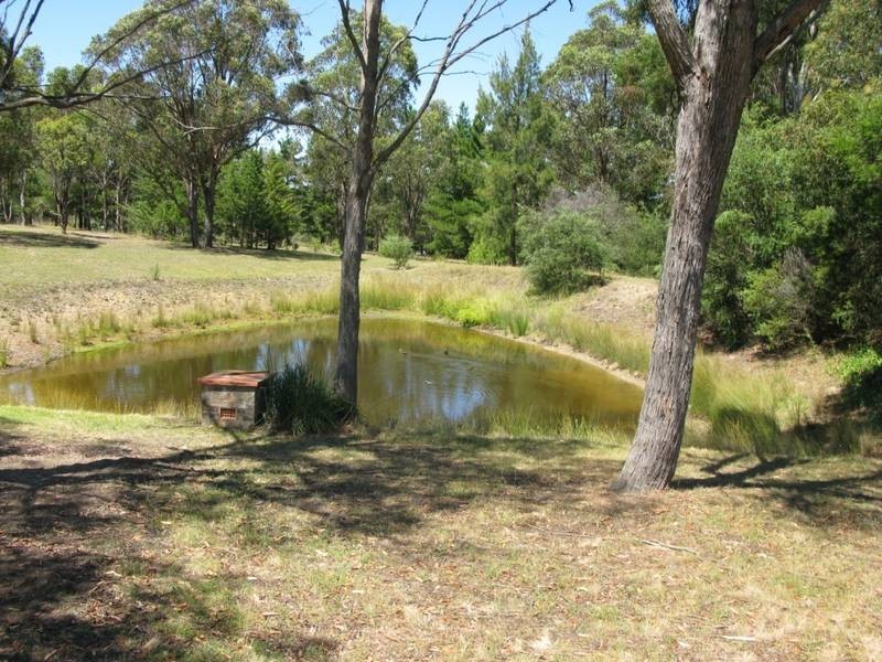 28 Bilga Road, Invergowrie NSW 2350