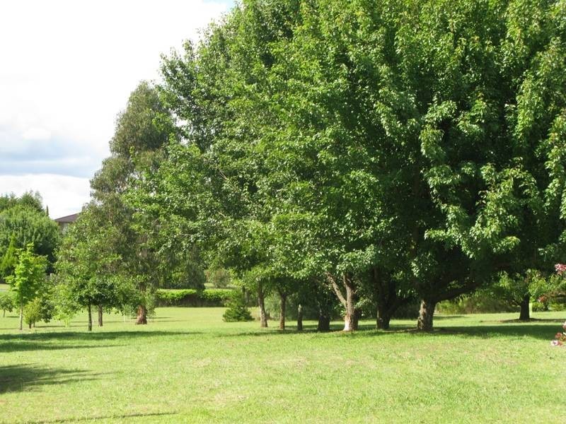 28 Westview Road, Armidale NSW 2350