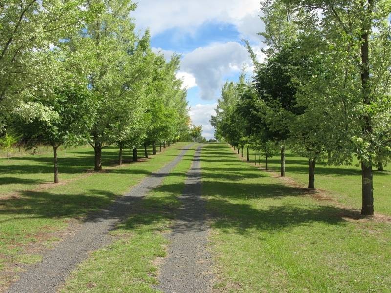 28 Westview Road, Armidale NSW 2350