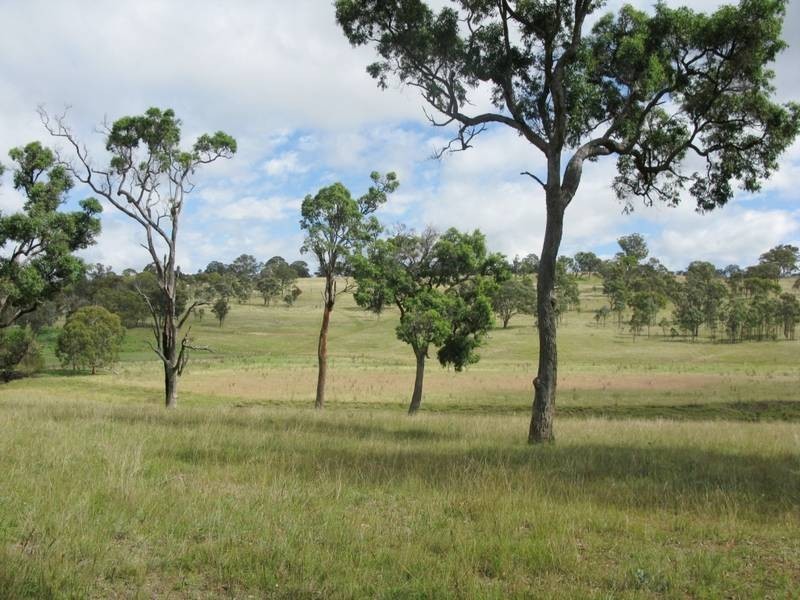 Lot 2,  Herbert Park Road, Armidale NSW 2350