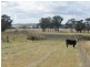 62A Marble Hill Road, Armidale NSW 2350
