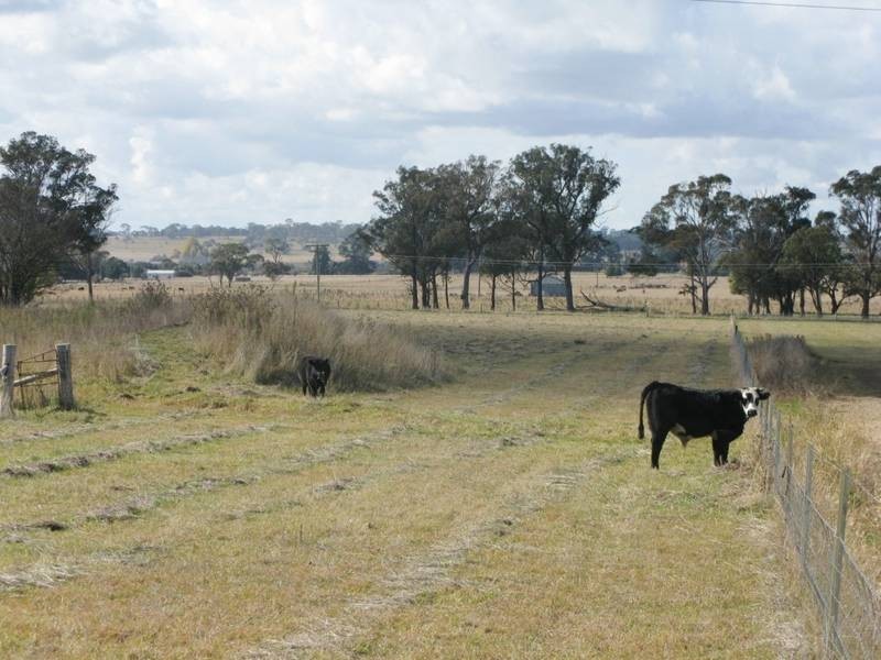 62A Marble Hill Road, Armidale NSW 2350