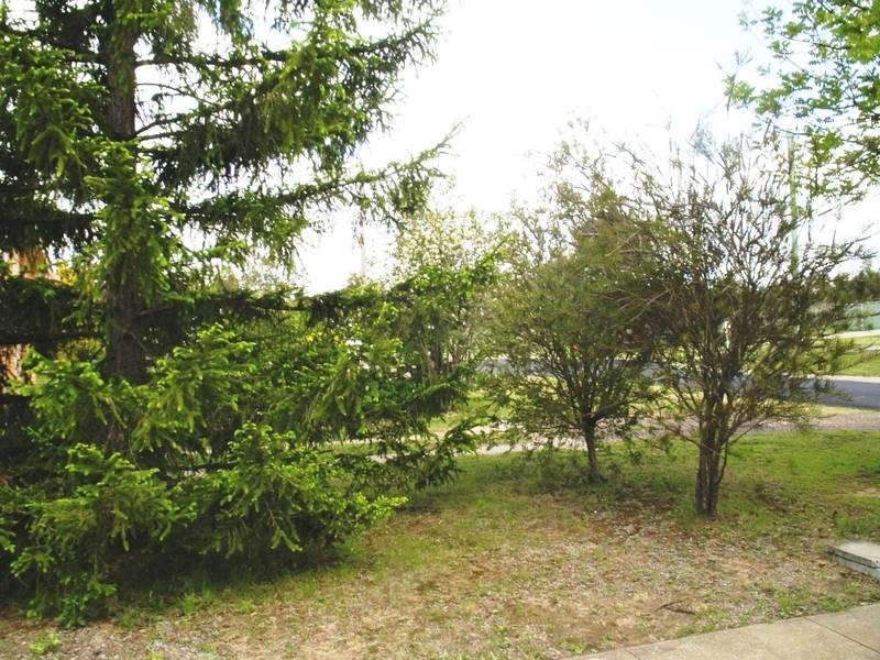 41 CLAUDE STREET, Armidale NSW 2350