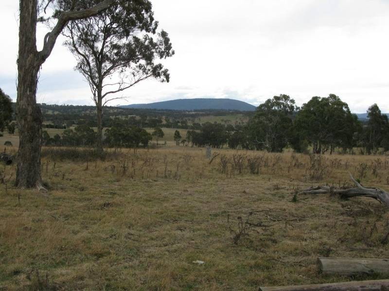 99 Fittler Road, Armidale NSW 2350