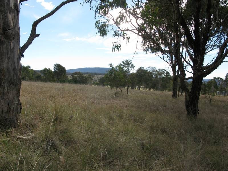 99 Fittler Road, Armidale NSW 2350