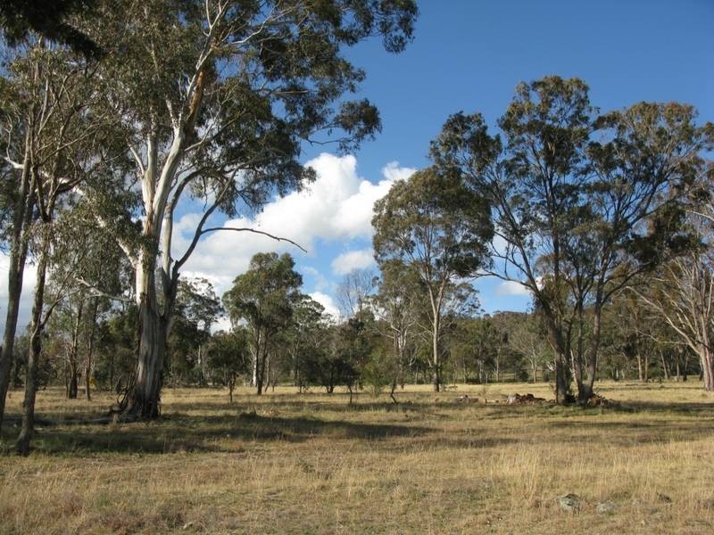 552 Puddledock Road, Armidale NSW 2350