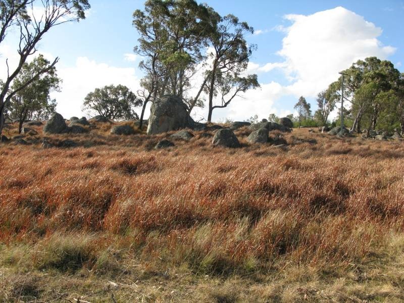 552 Puddledock Road, Armidale NSW 2350