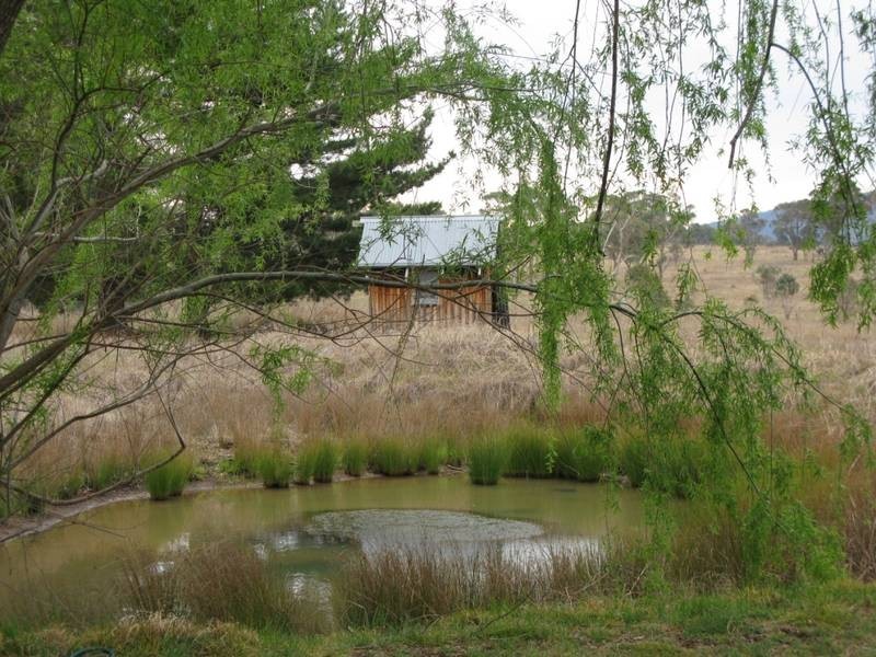36 McCannas Road, Armidale NSW 2350