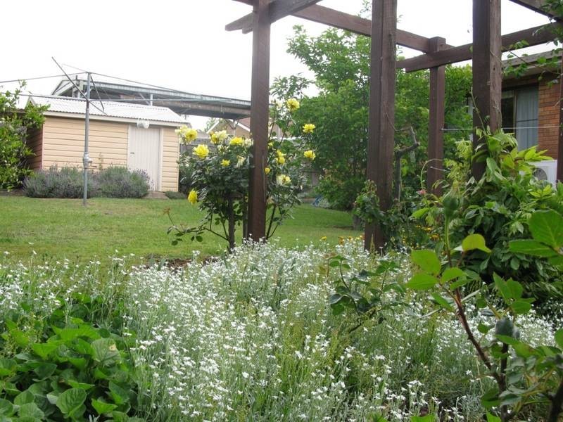 18-20 The Avenue, Armidale NSW 2350