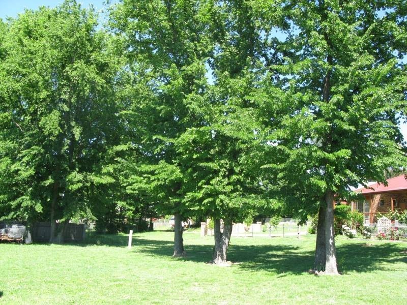 104 Donnelly Street, Armidale NSW 2350