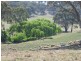 932 Puddledock Road, Armidale NSW 2350
