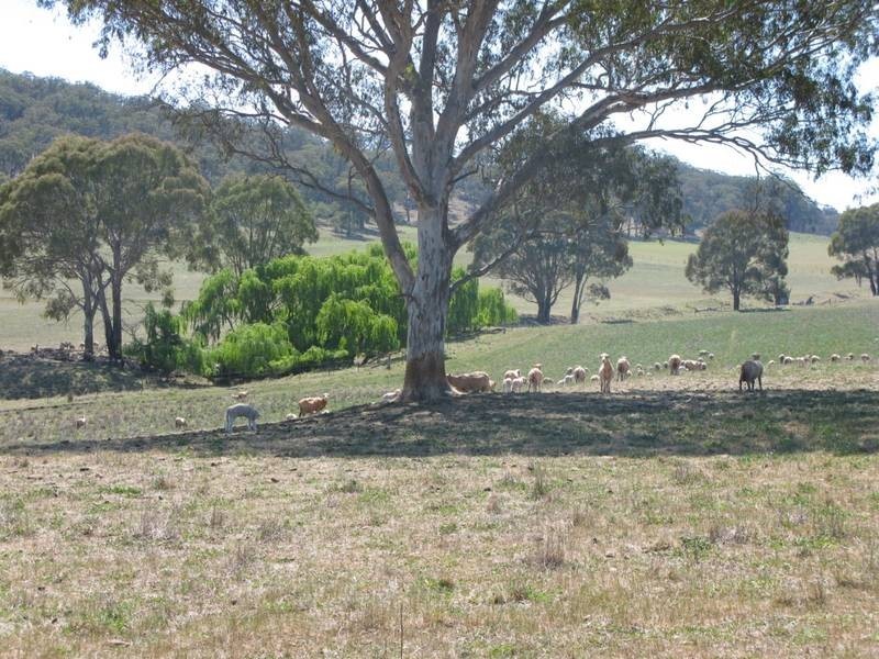 932 Puddledock Road, Armidale NSW 2350