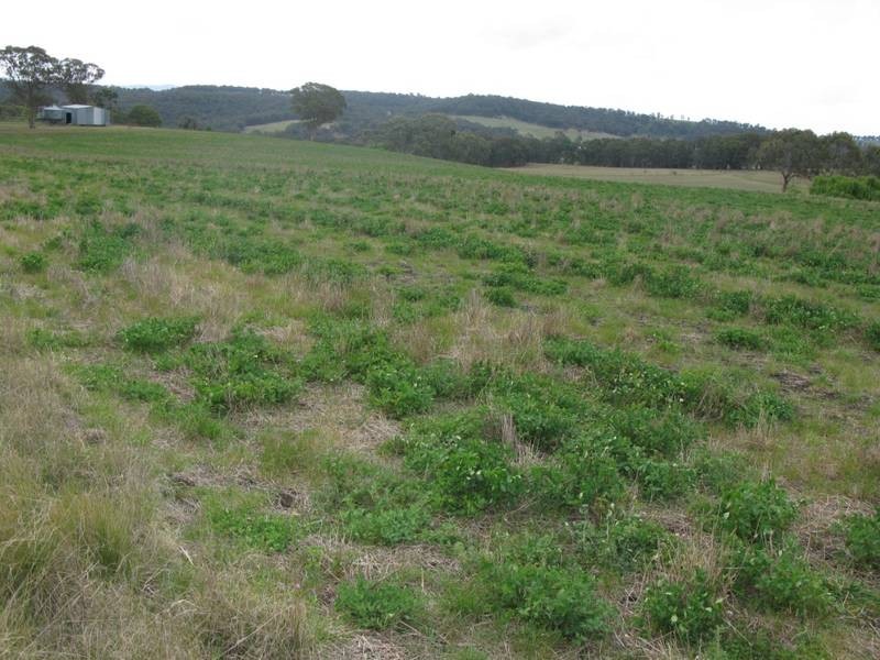 932 Puddledock Road, Armidale NSW 2350