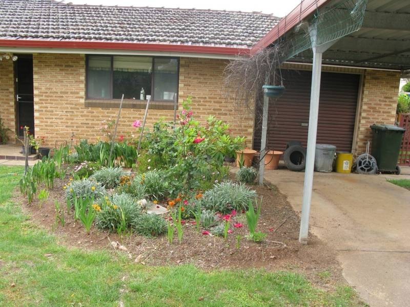 1/12 Gordon Street, Armidale NSW 2350