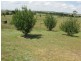Lot 141,  Heathersleigh Road, Armidale NSW 2350