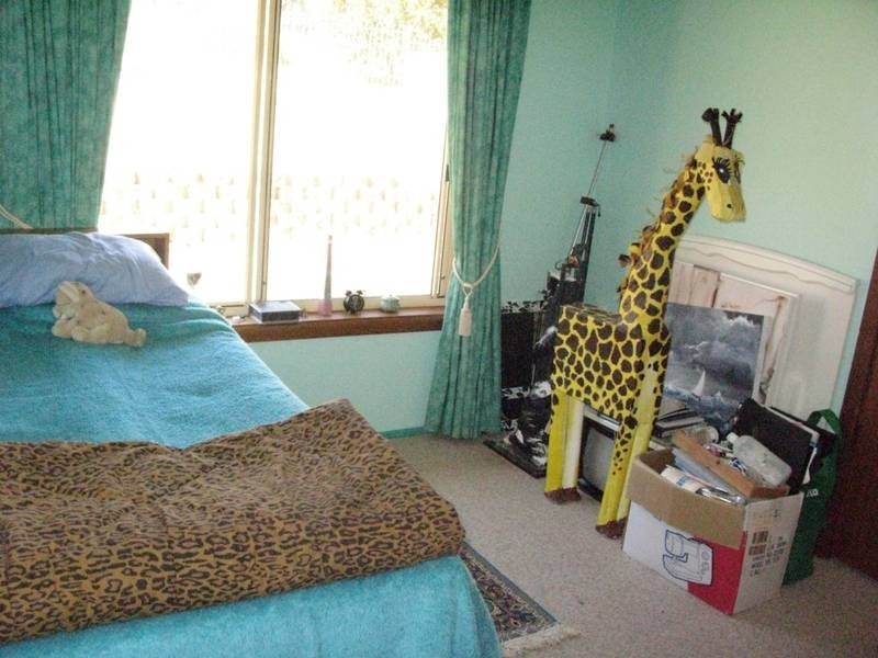 552 Puddledock Road, Armidale NSW 2350