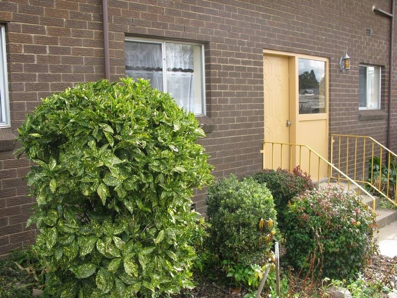 Armidale NSW 2350