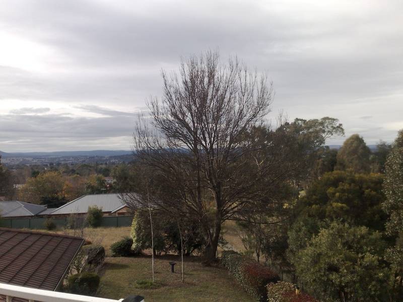 6 MERRINO TERRACE, Armidale NSW 2350