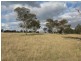 Lot 1,  Cluny Road, Armidale NSW 2350