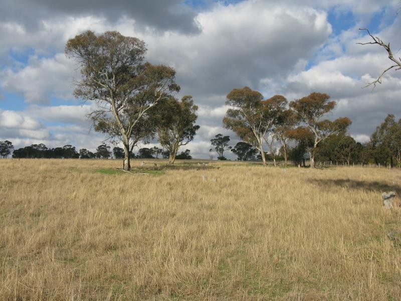 Lot 1,  Cluny Road, Armidale NSW 2350