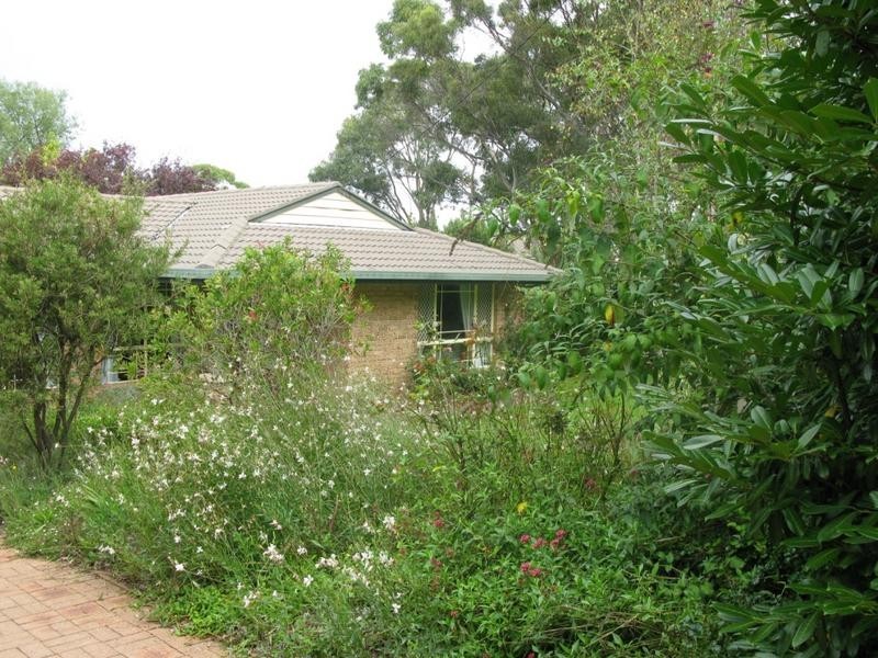 Armidale NSW 2350