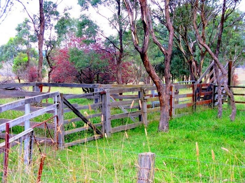 47 BELLEWOOD ROAD, Armidale NSW 2350