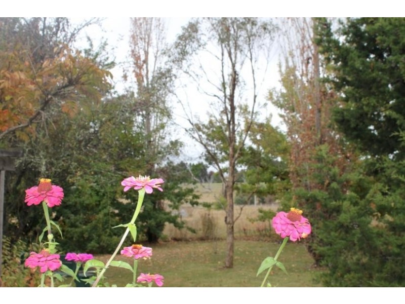 47 BELLEWOOD ROAD, Armidale NSW 2350