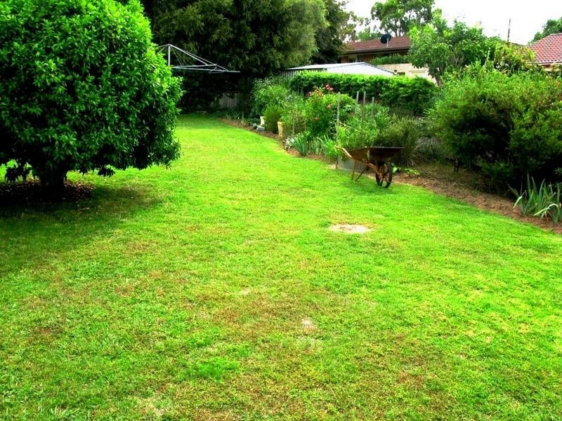 Armidale NSW 2350
