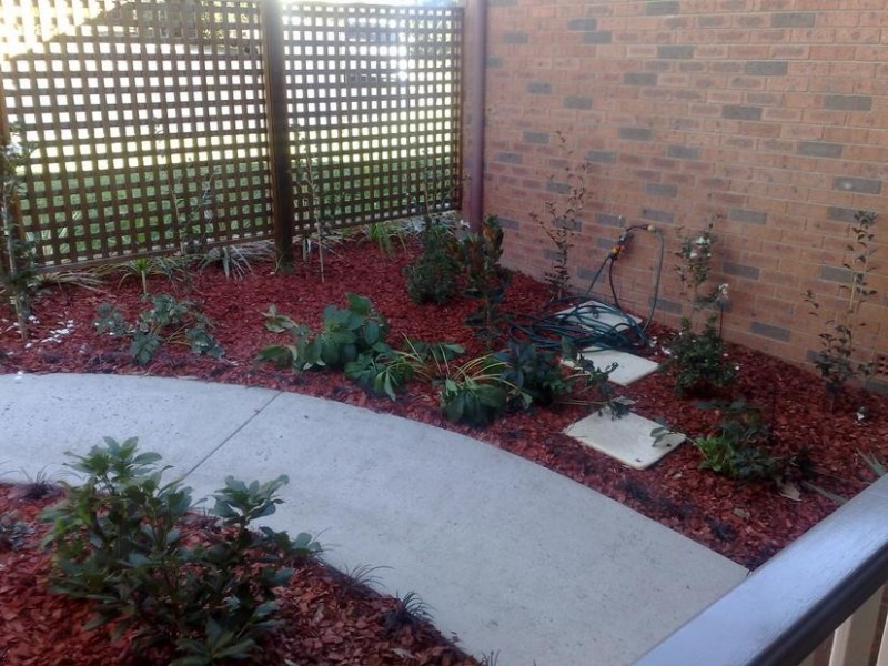 11 Reginal Avenue, Armidale NSW 2350